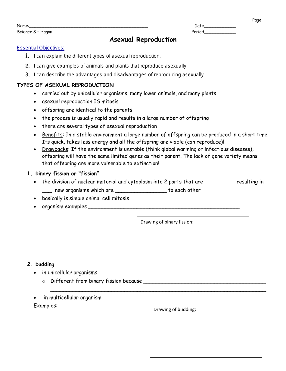 Asexual Reproduction Worksheet - 8th Grade, Mrs. Hagan, Washingtonville Middle School