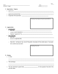 Asexual Reproduction Worksheet - 8th Grade, Mrs. Hagan, Washingtonville Middle School, Page 2