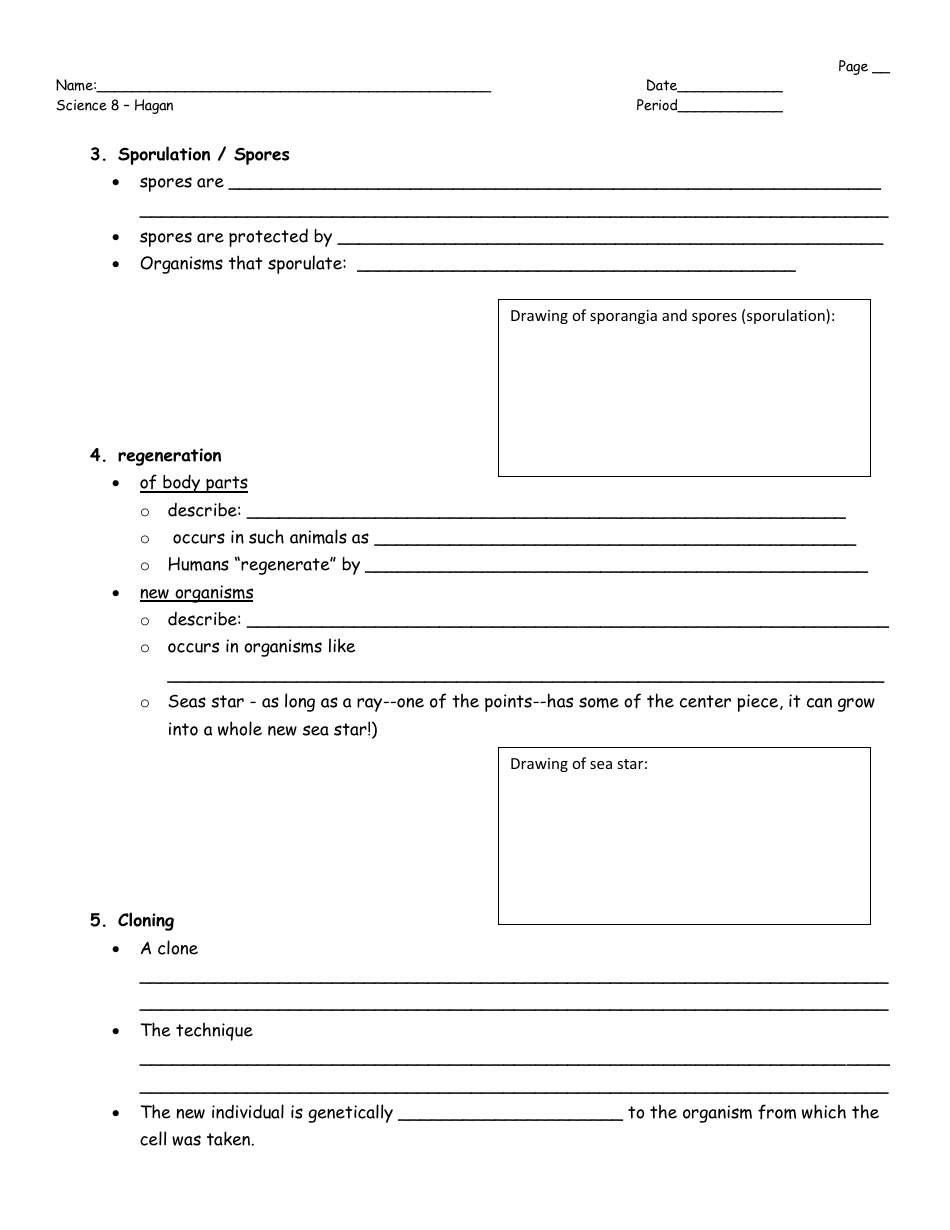 Asexual Reproduction Worksheet - 8th Grade, Mrs. Hagan, Washingtonville Middle School, Page 2