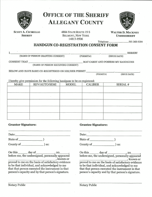 Handgun Co-registration Consent Form - Allegany County - Allegany County, New York Download Pdf