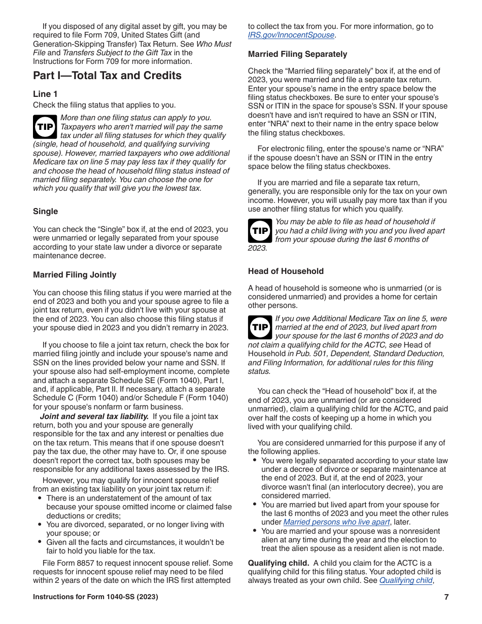 Instructions for IRS Form 1040-SS U.S. Self-employment Tax Return (Including the Additional Child Tax Credit for Bona Fide Residents of Puerto Rico), Page 7