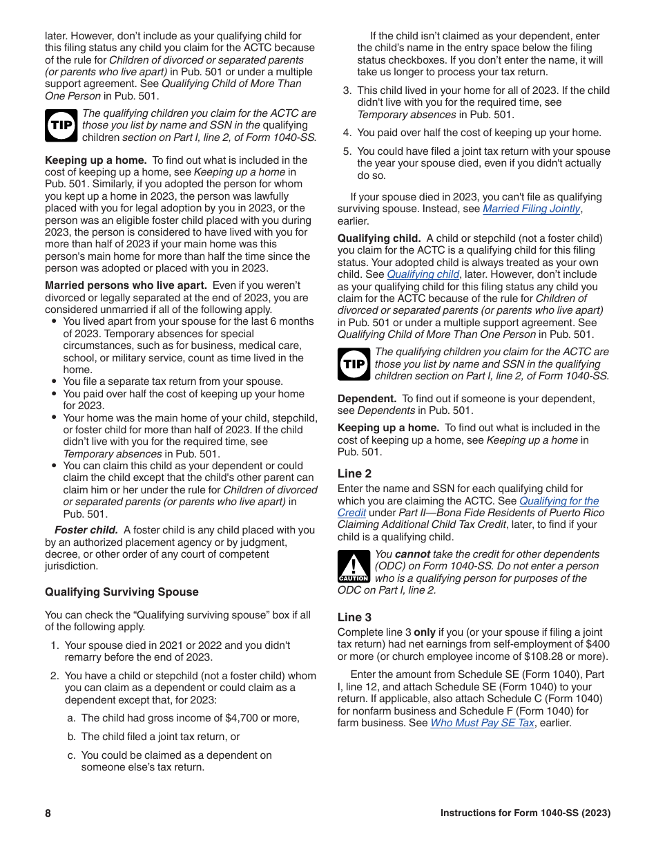 Instructions for IRS Form 1040-SS U.S. Self-employment Tax Return (Including the Additional Child Tax Credit for Bona Fide Residents of Puerto Rico), Page 8