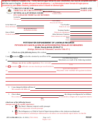 Document preview: Form JUV-11-506.1BLS Petition for Expungement of Juvenile Records - Maryland (English/Spanish)