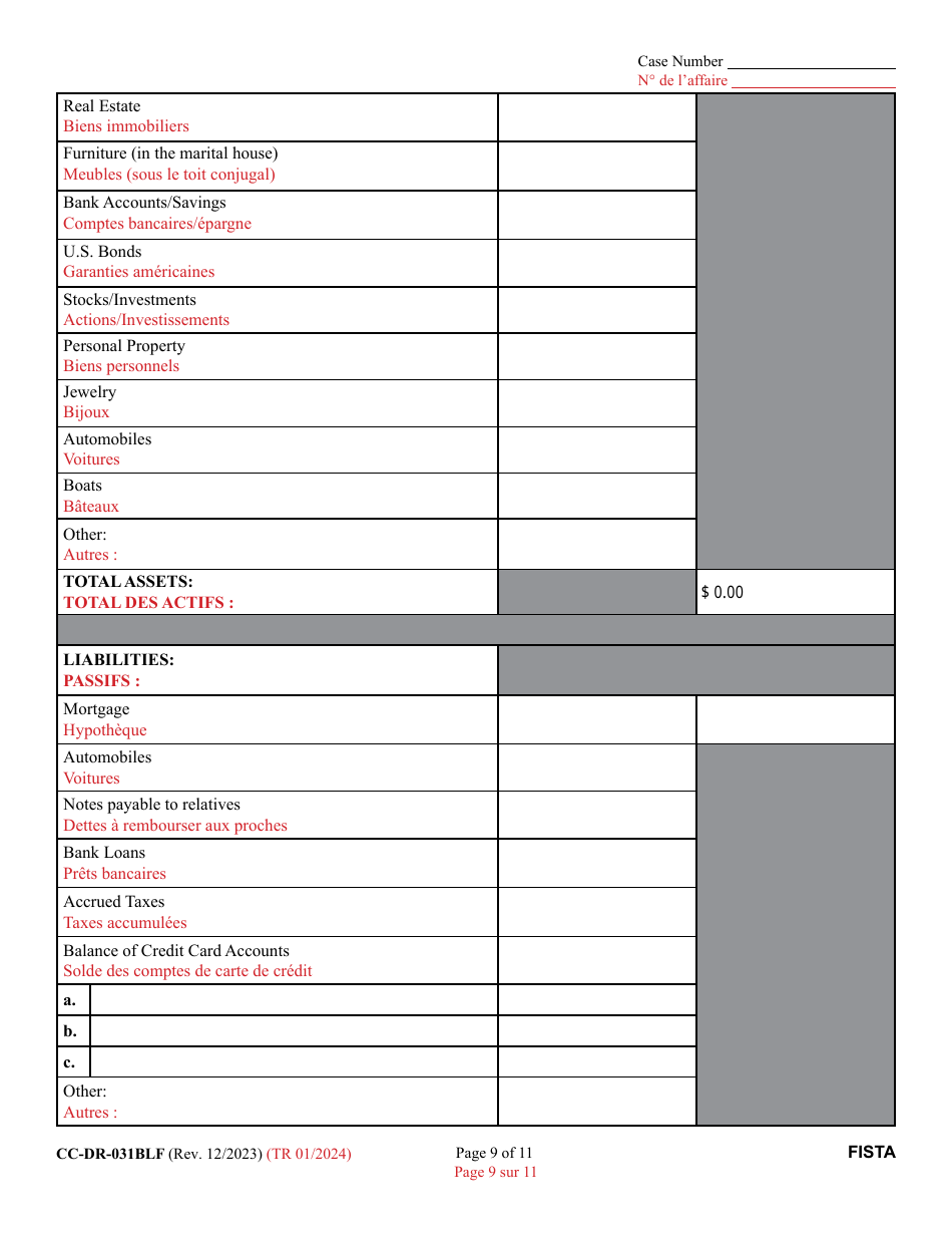Form CC-DR-031BLF Financial Statement (General) - Maryland (English / French), Page 9
