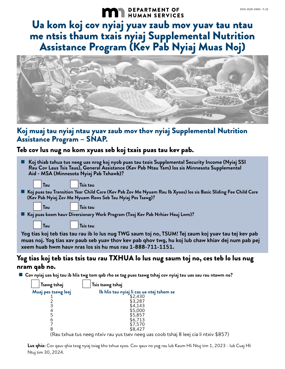 Form DHS3529HMN Download Printable PDF or Fill Online Supplemental