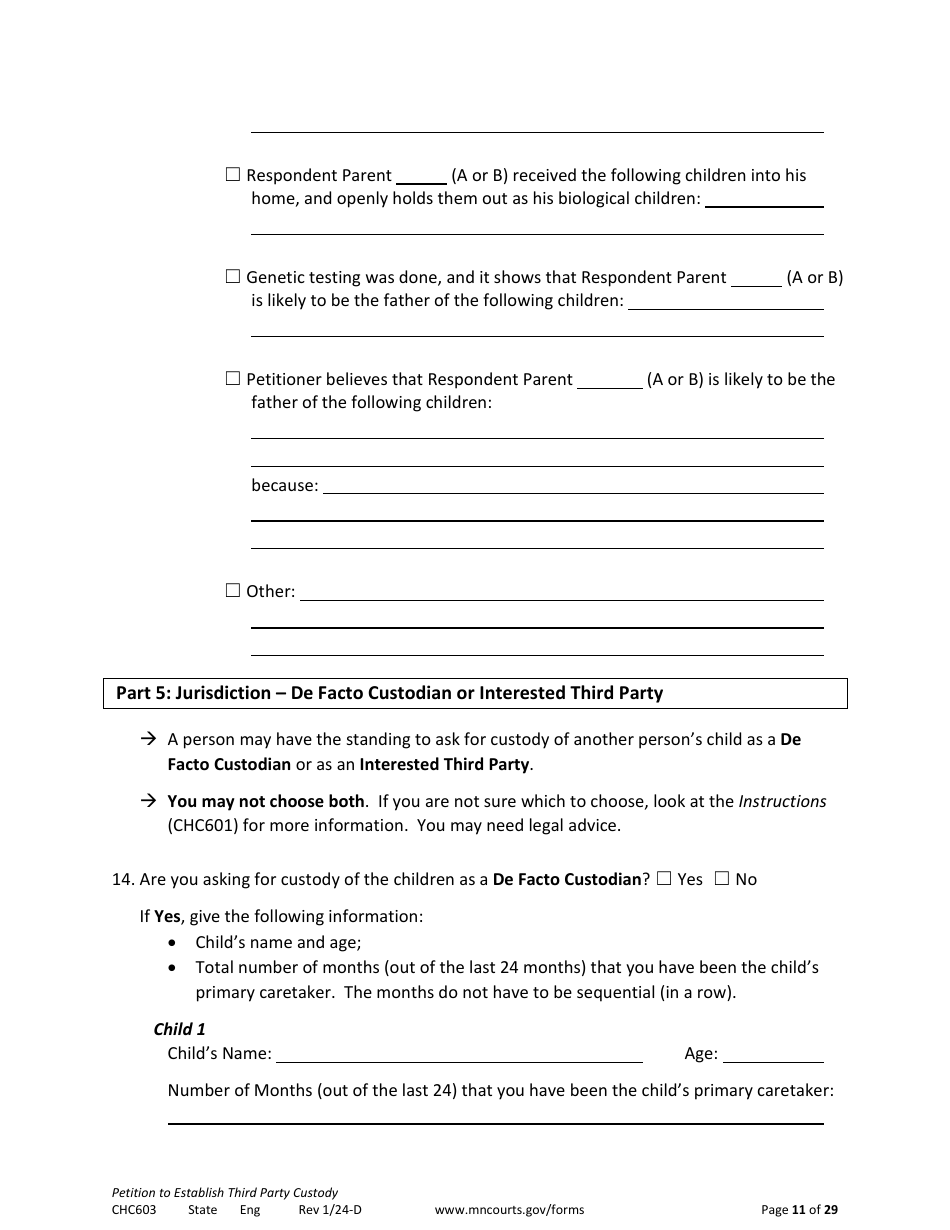 Form CHC603 Petition to Establish Third Party Custody - Minnesota, Page 11