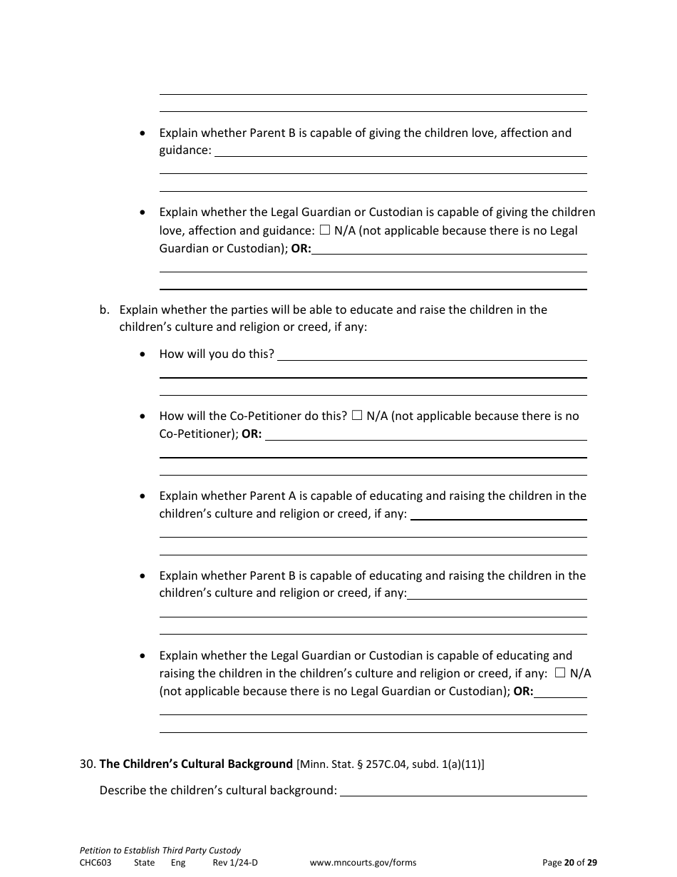 Form CHC603 Petition to Establish Third Party Custody - Minnesota, Page 20