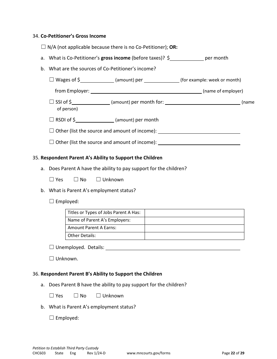 Form CHC603 Petition to Establish Third Party Custody - Minnesota, Page 22