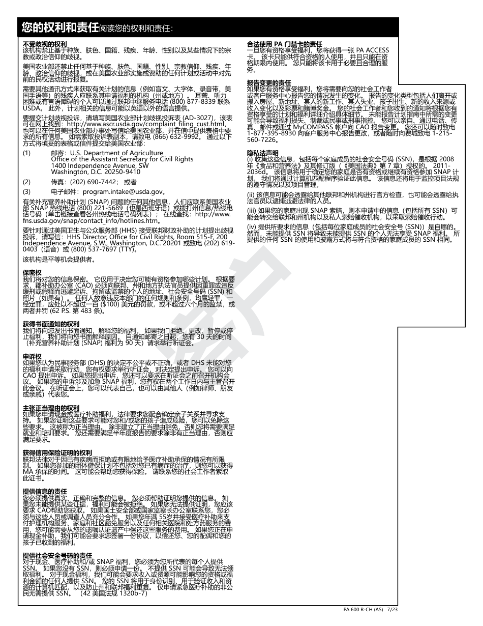 Form PA600 R-CH (AS) Benefits Review - Pennsylvania (Chinese), Page 19