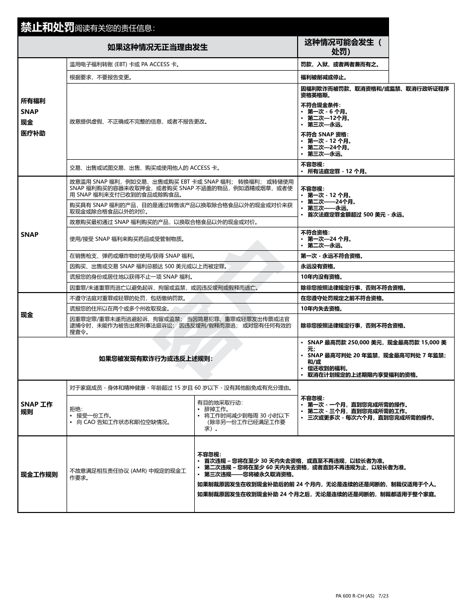 Form PA600 R-CH (AS) Benefits Review - Pennsylvania (Chinese), Page 20