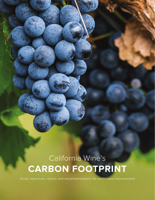California Wine's Carbon Footprint - Study Objectives, Results and Recommendations for Continuous Improvement Download Pdf