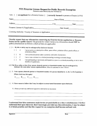 Form PPB-3 Pistol Permit Application - Niagara County, New York, Page 22