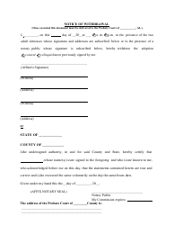 Consent or Relinquishment of Minor for Adoption by a Minor - Alabama, Page 4