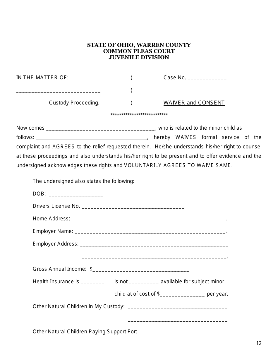 Complaint - Motion for Parenting Time - Warren County, Ohio, Page 12