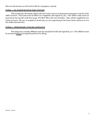 Motion for Ex-parte &quot;emergency&quot; Custody - Warren County, Ohio, Page 3