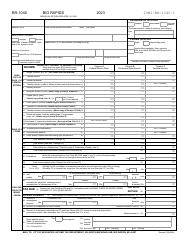 Document preview: Form BR-1040 Individual Income Tax Return - City of Big Rapids, Michigan