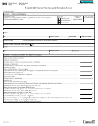 Form T244 Registered Pension Plan Annual Information Return - Canada, Page 2