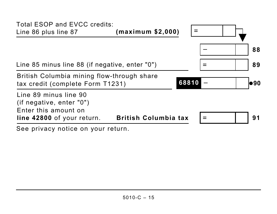Form BC428 (5010-C) British Columbia Tax - Large Print - Canada, Page 15