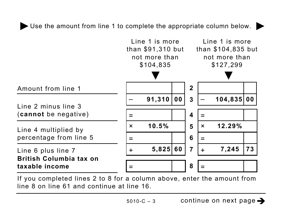 Form BC428 (5010-C) British Columbia Tax - Large Print - Canada, Page 3