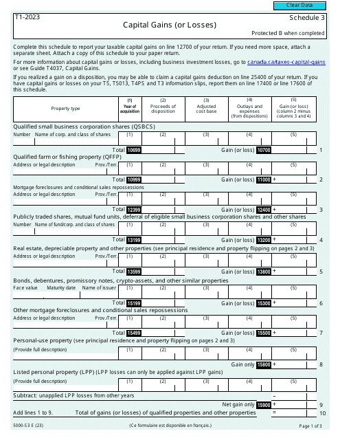 Form 5000-S3 Schedule 3 2023 Printable Pdf