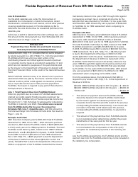 Instructions for Form DR-908 Insurance Premium Taxes and Fees Return - Florida, Page 14
