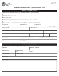 Document preview: Form 6104 Freestanding Emergency Medical Care Facility Incident Report - Texas