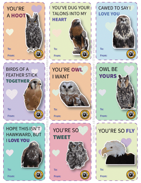 Ambassador Bird Valentines - Montana