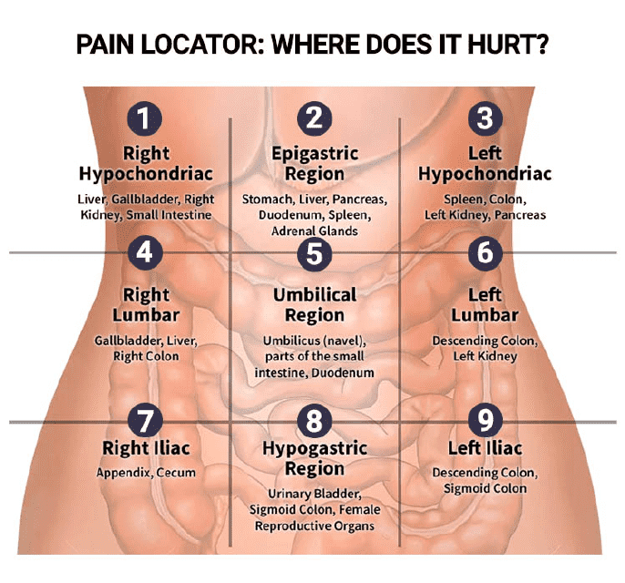 Abdominal Pain Chart Template - Where Does It Hurt