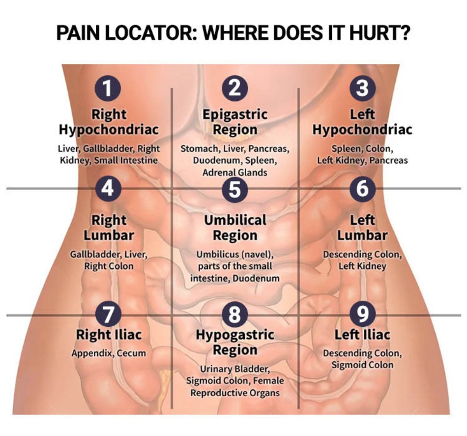 pin-on-back-injuries-spine-disorders-what-s-causing-my-back-pain