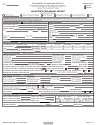 Document preview: FEMA Form FF-206-FY-21-146 Adjuster's Preliminary Report