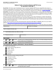 Form DCF-F-2574 National Youth in Transition Database (Nytd) Survey for Wisconsin Youth Age 17 - Wisconsin