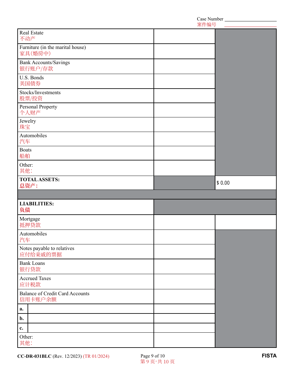 Form CC-DR-031BLC Financial Statement - Maryland (English / Chinese), Page 9
