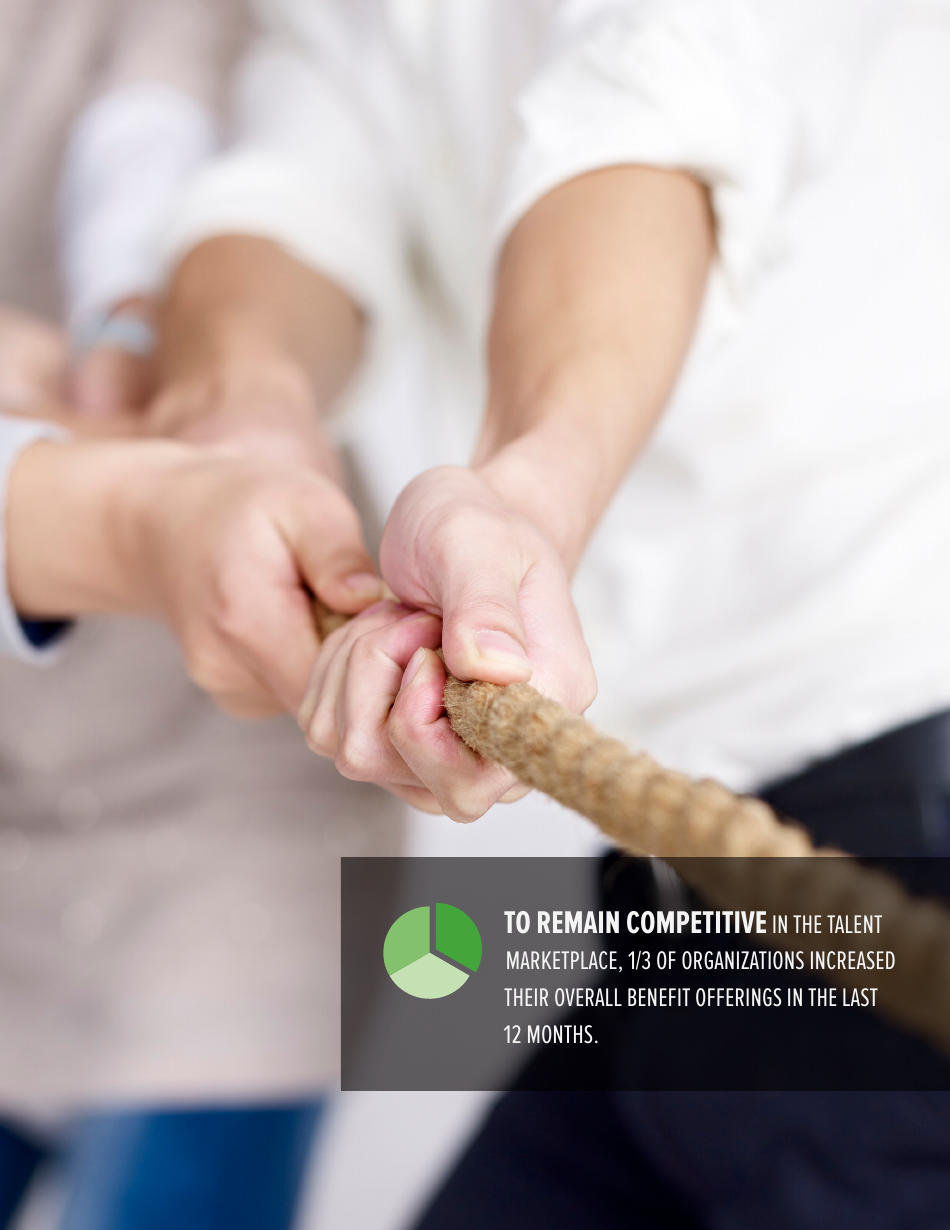2017 Employee Benefits Remaining Competitive in a Challenging Talent Marketplace - Society for Human Resource Management, Page 4