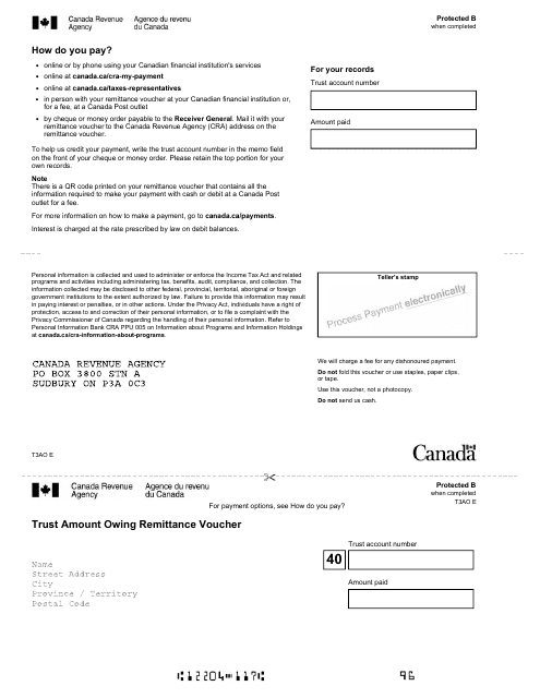Form T3AO Trust Amount Owing Remittance Voucher - Canada