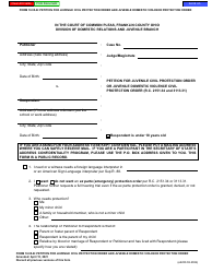 Form 10.05-B (E6236) Petition for Juvenile Civil Protection Order and Juvenile Domestic Violence Protection Order - Franklin County, Ohio