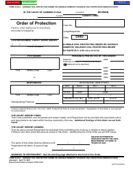 Form 10.05-C (E0176) Juvenile Civil Protection Order or Juvenile Domestic Violence Civil Protection Order Ex Parte - Franklin County, Ohio