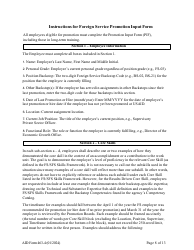 Form AID463-4 Foreign Service Promotion Input Form, Page 8