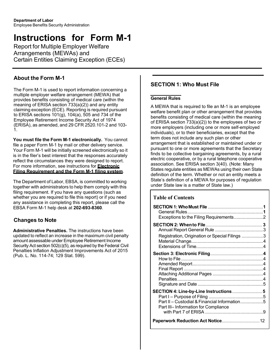 Form M-1 Report for Multiple Employer Welfare Arrangements (Mewas) and Certain Entities Claiming Exception (Eces) - Sample, Page 6