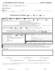 Form CR-3419 Judgment - Tennessee, Page 3