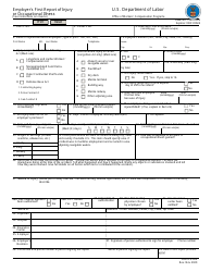 Form LS-202 Employer&#039;s First Report of Injury or Occupational Illness