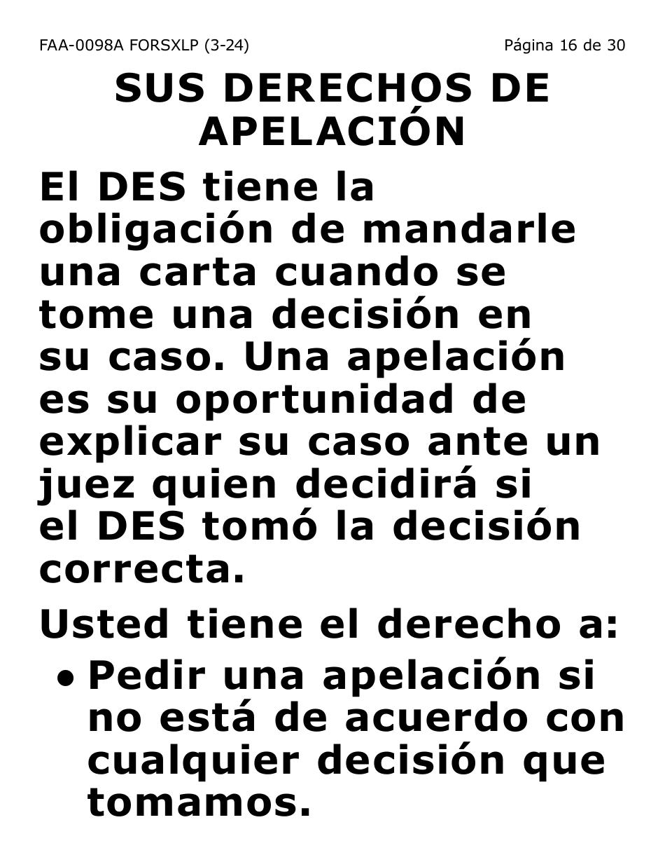 Formulario FAA-0098A-SXLP Solicitud De Apelacion (Letra Extra Grande) - Arizona (Spanish), Page 16