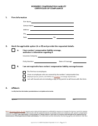 Application for Minnesota Rap Firm or Rap Sole Proprietor Permit - Minnesota, Page 5