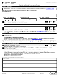 Document preview: Form T3010 Registered Charity Information Return - Canada