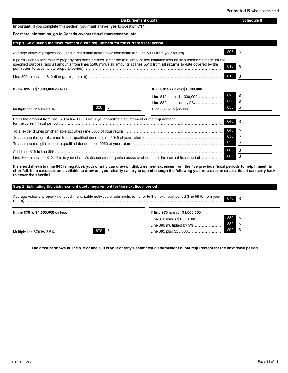 Form T3010 Registered Charity Information Return - Canada, Page 11