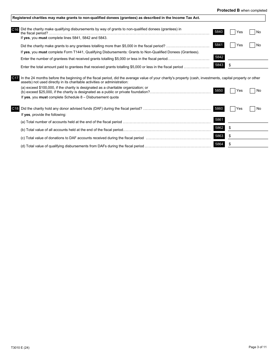 Form T3010 Registered Charity Information Return - Canada, Page 3