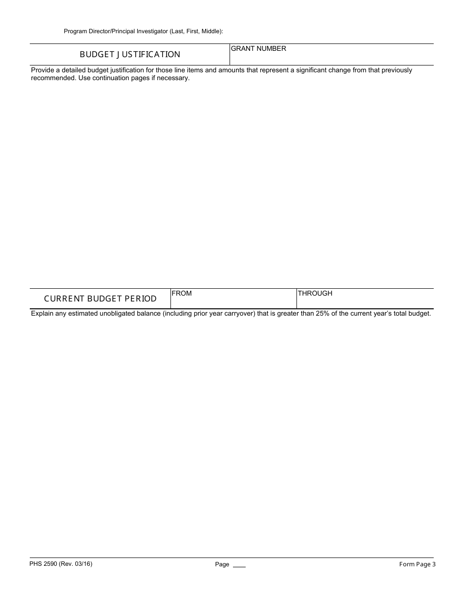 Form PHS2590 Grant Progress Report, Page 4