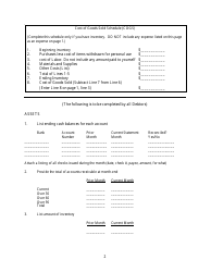 Business Report of Income (Cash) and Expenses Form, Page 2