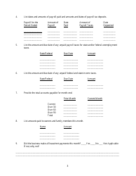 Business Report of Income (Cash) and Expenses Form, Page 3