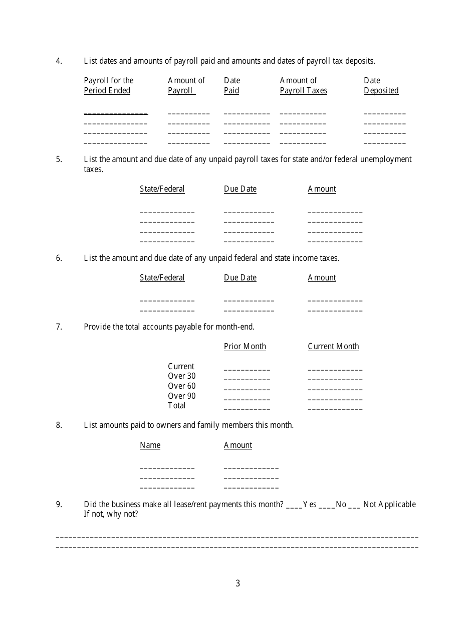 Business Report of Income (Cash) and Expenses Form, Page 3