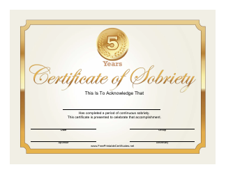 Document preview: Golden 5 Years Certificate of Sobriety Template